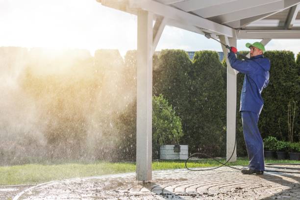 Best Solar Panel Cleaning  in Fkville, AL